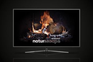 Écran de télévision affichant le feu de foyer avec l'écriture "Stingray Naturescape"