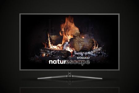 Television screen displaying a fireplace with the text "Stingray Naturescape"