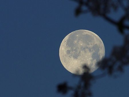 winter-moon-at-night.jpg