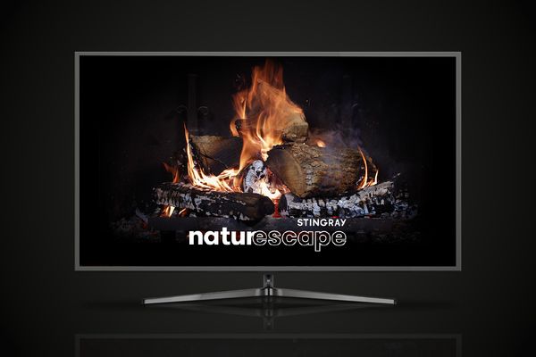 Stingray Naturescape fireplace in a TV